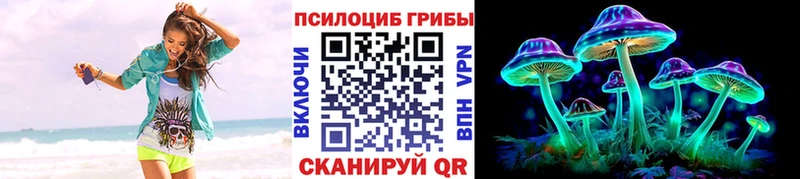 наркошоп  Гвардейск  нарко площадка как зайти  Псилоцибиновые грибы Magic Shrooms 